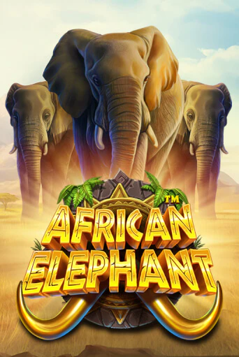 Демо версия игры African Elephant™ | VAVADA BY 